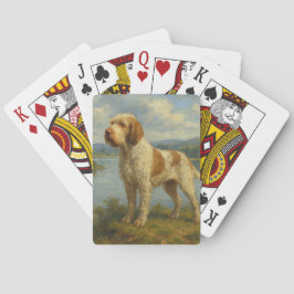 Baralho Spinone Italiano