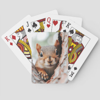 Baralho Squirrel Wild Animal Loving Portrait 