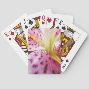 Baralho Stargazer Lily Bright Magenta Floral