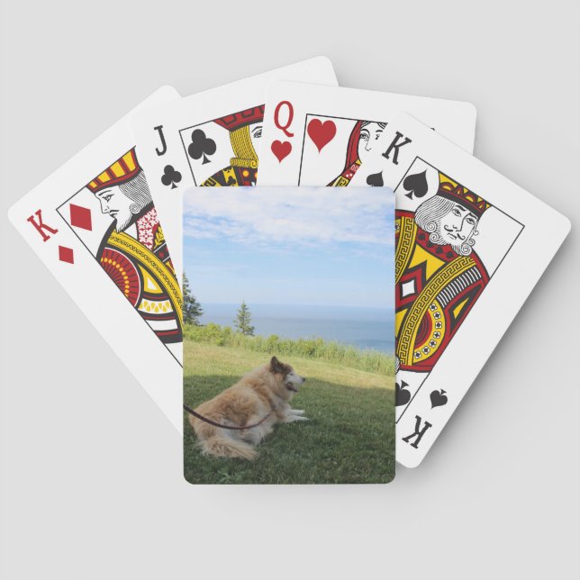 Baralho Suka Desfrutando das Cartas de Jogar do Cabo Georg (Verso)
