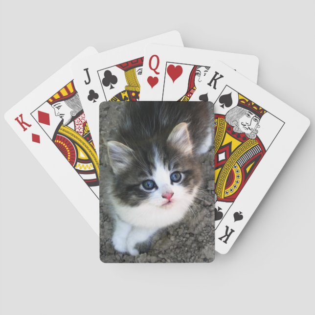 Baralho SUPER CUTE Kitten (Verso)