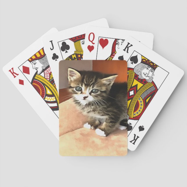 Baralho Tabby Cat Kitten Pet Retrato (Verso)