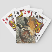 Tempo de Alimentação!