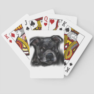 Baralho Terrier Staffordshire Americano