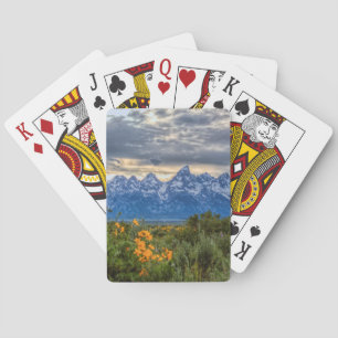 Baralho Tetons grande