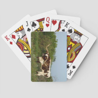 Baralho Texas Longhorn jogando cartas