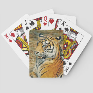 Baralho Tigre