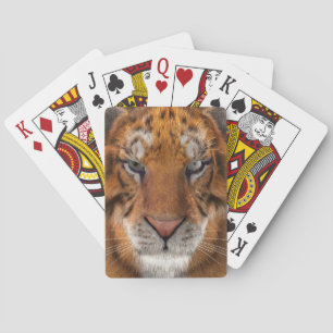 Baralho Tigre