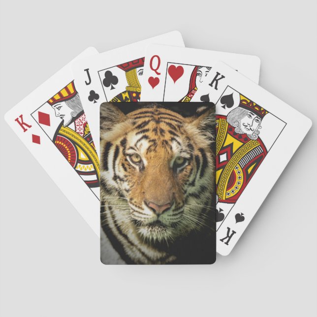Baralho tigre (Verso)