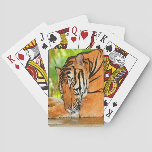 Baralho Tigre de dormir (Verso)