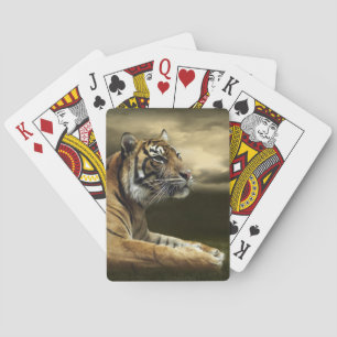 Baralho Tigre que olha e que senta-se sob o céu dramátic
