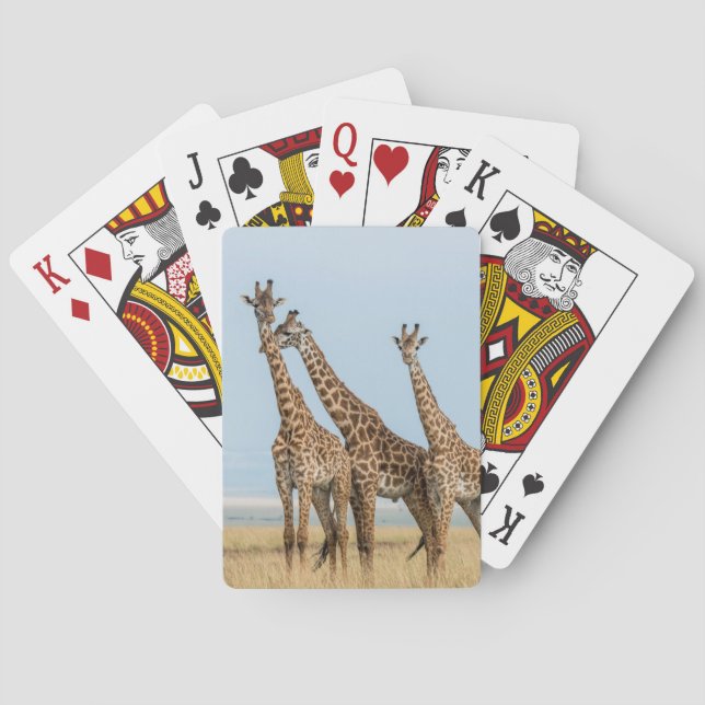Baralho Três girafas posando (Verso)