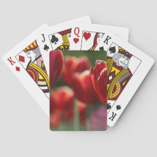 Baralho Tulipas