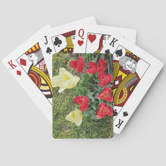 Baralho Tulipas (Verso)