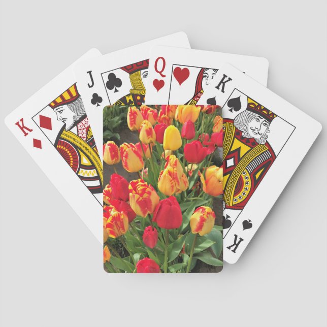 Baralho Tulipas Amarelas e Vermelhas (Verso)