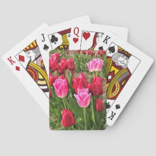 Baralho Tulipas Rosa e Vermelhas