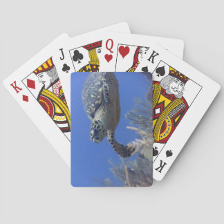 Baralho Turtle Bicycle Poker Deck