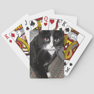 Baralho Tuxedo Gato Preto e Branco