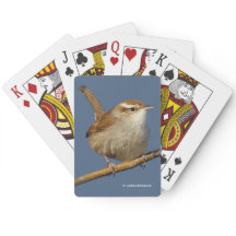 Um cunhado curioso na árvore