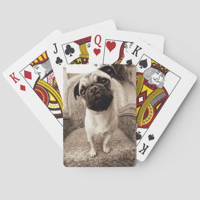 Baralho Um Pug com a Cabeça Titular ao Lado (Verso)