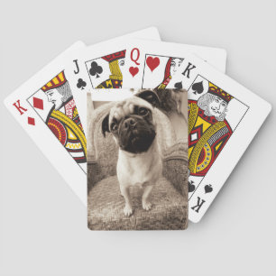 Baralho Um Pug com sua cabeça intitulada ao lado