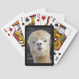 Baralho Um rosto fofo e fofinho de uma alpaca