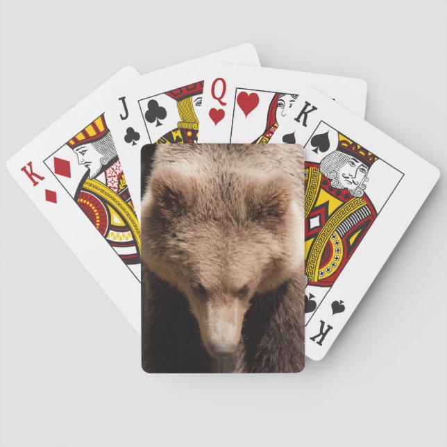 Baralho Urso (Verso)