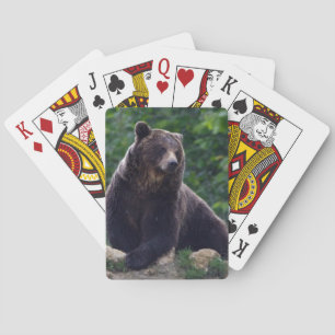 Baralho Urso de Brown