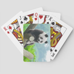 Baralho Urso de Panda Fofinho Bonito Sentado em uma Ramifi