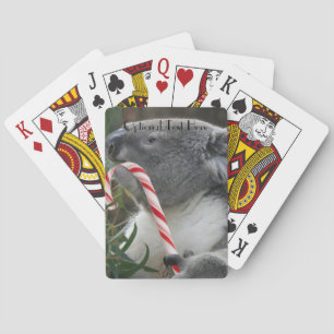 Baralho Urso Koala, na Austrália, no Natal