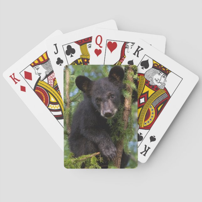 Baralho Urso Negro Brincando em Árvores (Verso)