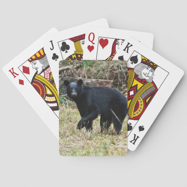 Baralho Urso Negro da Flórida (Verso)