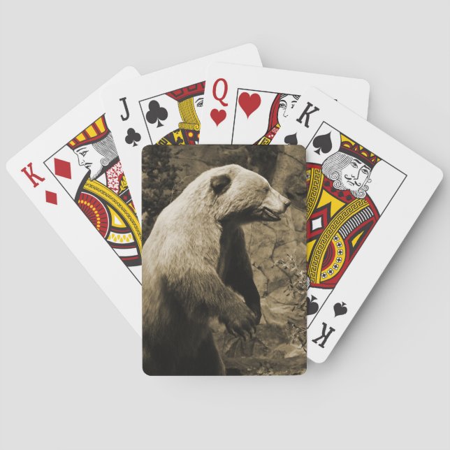 Baralho Urso Ordenado (Verso)