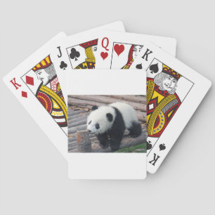 Baralho urso panda ursos personalizar Aniversários