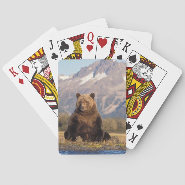 Baralho urso pardo, Ursus arctos, urso cinzento, Ursus (Verso)