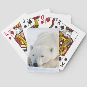 Baralho Urso polar no inverno