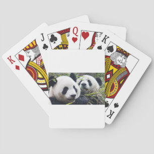 Baralho Ursos de panda