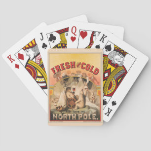 Baralho Ursos Polares Estão Aproveitando Lâmpadas De Cerve