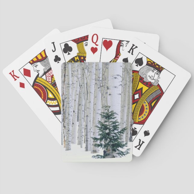Baralho UTAH. EUA. Álamo tremedor (Populus tremuloides) &  (Verso)