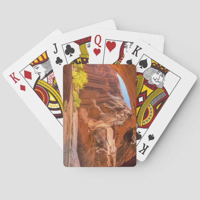 Baralho Utah, OURO CATHEDRAL (Verso)