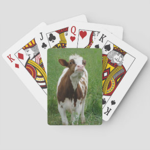 Baralho Vaca de leite da leiteria na fazenda