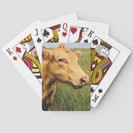 Baralho Vaca Loira