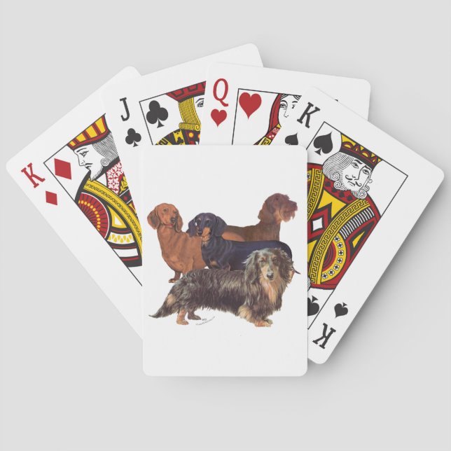 Baralho Variedades de Dachshund (Verso)