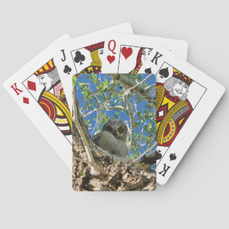 Baralho Vendo Você Jogando Cartas