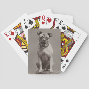 Baralho Vintage Dog