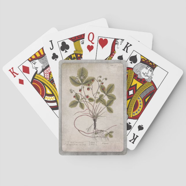 Baralho Vintage Illustration Play Cards - Morango (Verso)