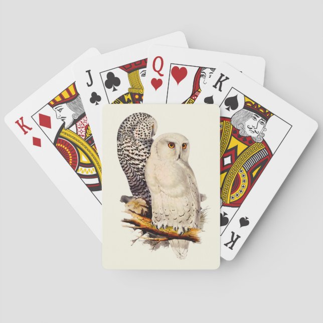 Baralho Vintage Snowy Owl Drawing (Verso)