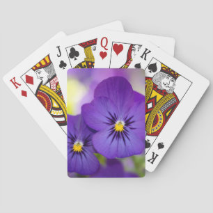 Baralho Violas roxas