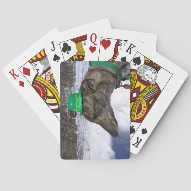 Baralho Vou Correr contigo!" (Verso)