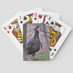 Baralho Wild Tom Turkey Jogando Cartões